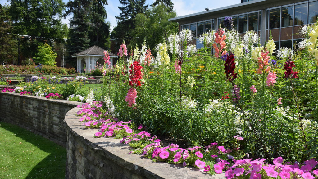 An exterior shot of Glendon Campus.