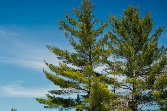 VPRI hosts successful 2023 Climate Change Research  Month